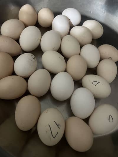 Desi anday/ Desi eggs