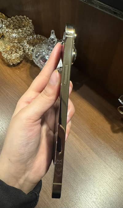 13 Pro Max PTA APPROVED