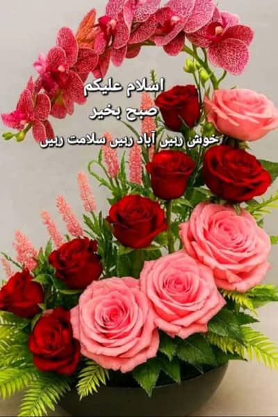 petrol ke stall ke lye larka chyia Saadi town  mian