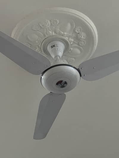 SK Delux ceiling fans available