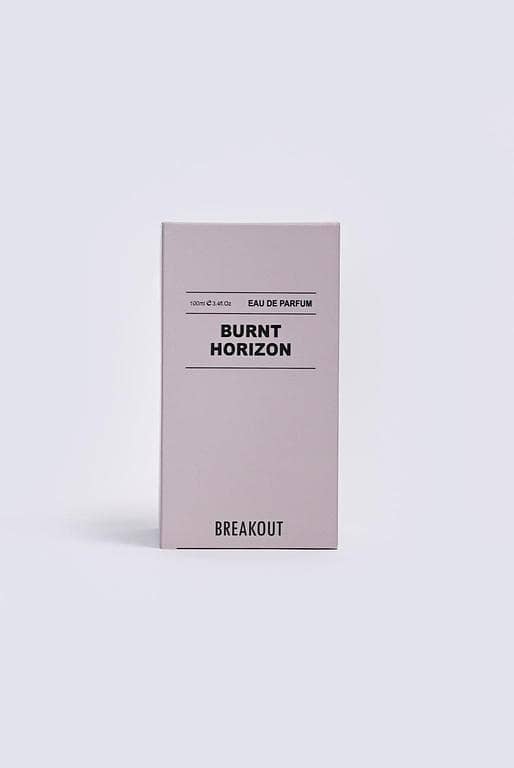 Burnt Horizon Premium Men’s Perfume 100 ml – Fresh, Long-Lasting Fragrance