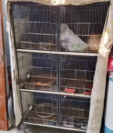 6 portion cage for sale in mint condition