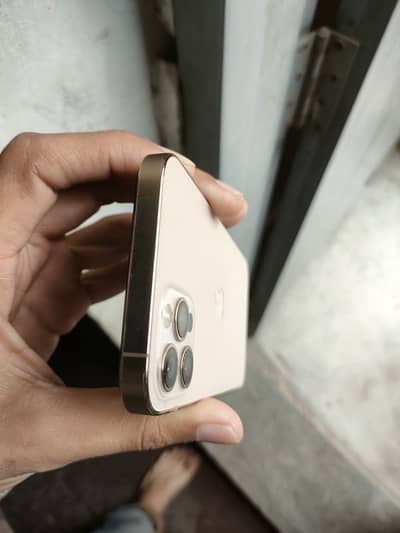 iPhone 12 Pro golden colour 128 gb 10/10 condition Face ID activate