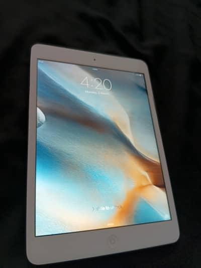 iPad mini (1st Generation)