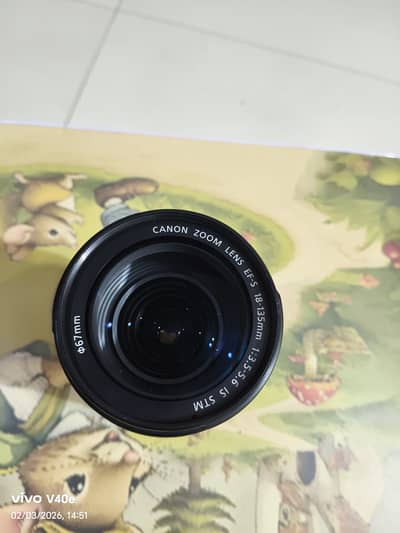 Canon EF-S 18-135mm STM - Excellent Condition - All-in-One Zoom