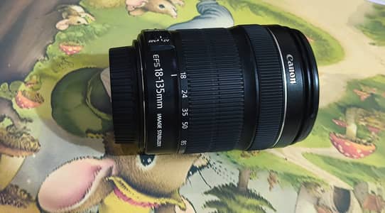 Canon EF-S 18-135mm STM - Excellent Condition - All-in-One Zoom