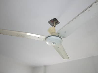 Ceiling Fan