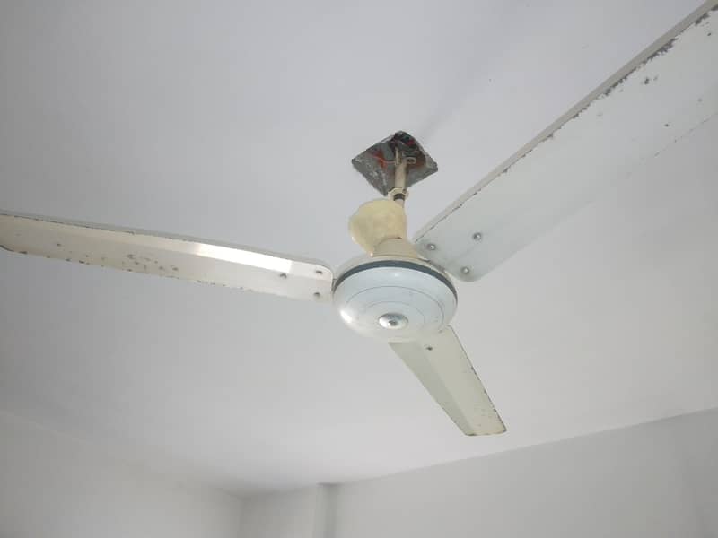 Ceiling Fan 0