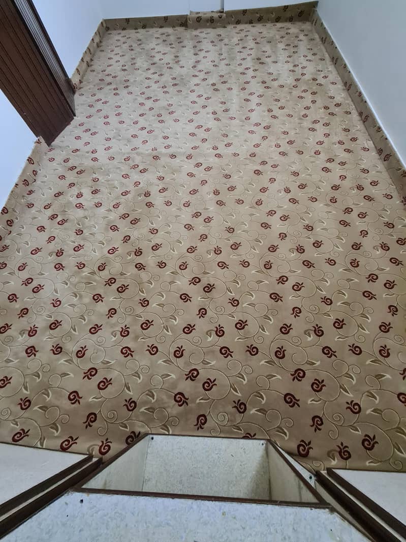 carpet 8