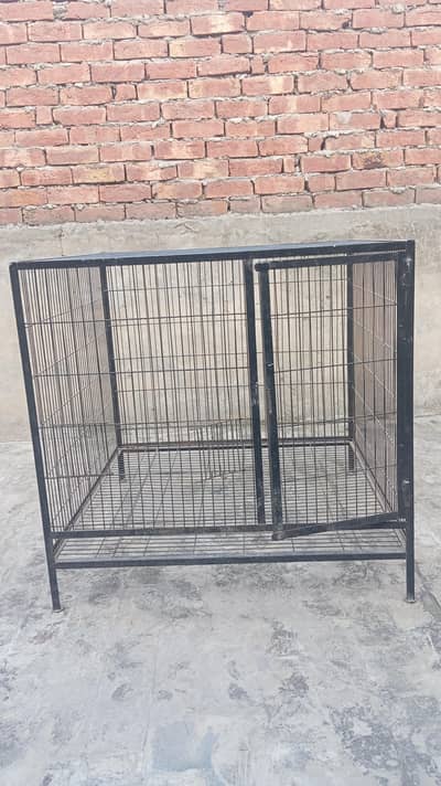 animals cage