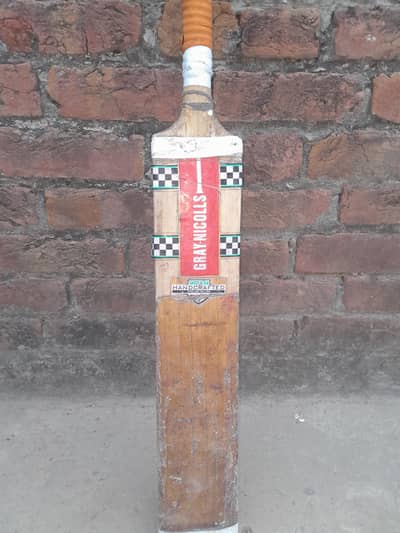 cricket bat