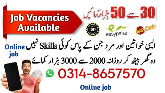 Data Entry Job / Assignment Job / Typing job / Part Time Full Time Job