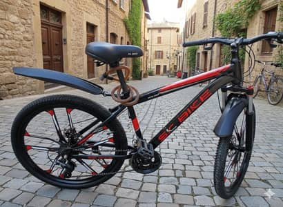 Sk bicycle 26" Imported