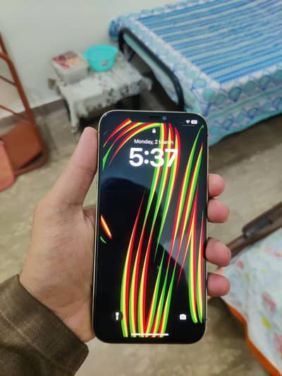 12 pro max non pta bypass 128gb panel change battery 76 health