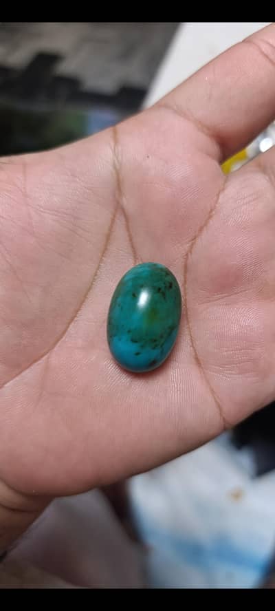 shajri hussaini feroza