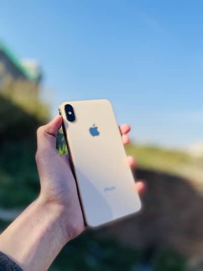 iPhone XS Max PTA Approved