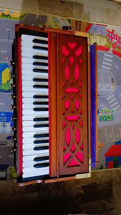 Indian Palitana Harmonium