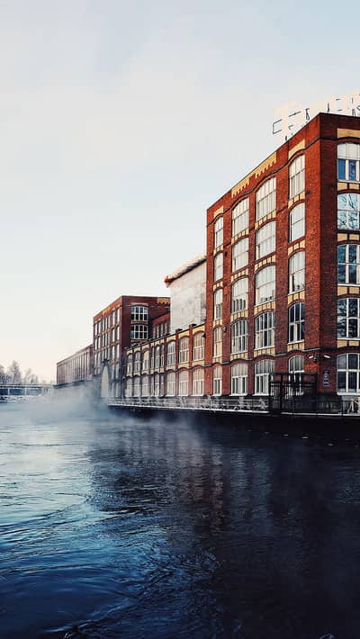 Working Online Female