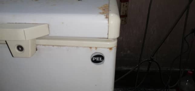pel 2 doors d freezer