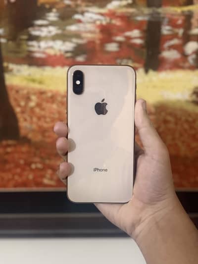iPhone XS /64Gb For sale [No Exchange]