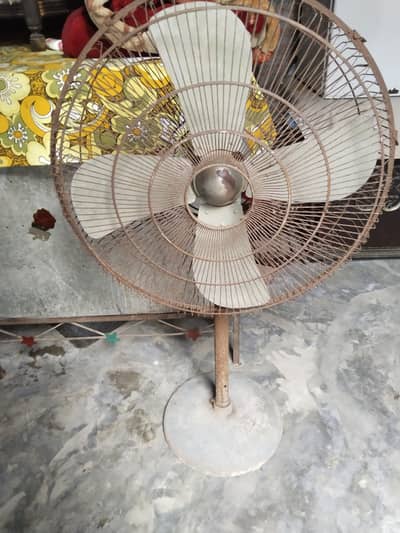 Pedestal Fan 100% Cu