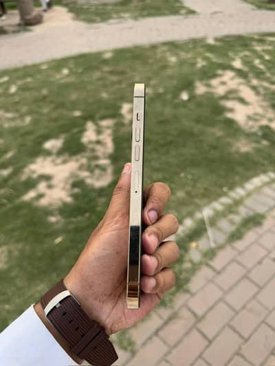 iPhone 13 pro max pta approved