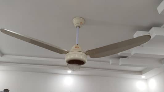 Ceiling Fans