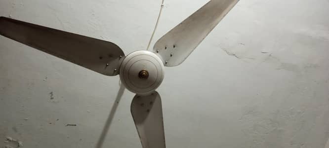 Ceiling fan for sale