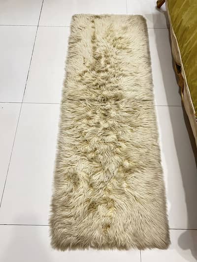 Shag rug