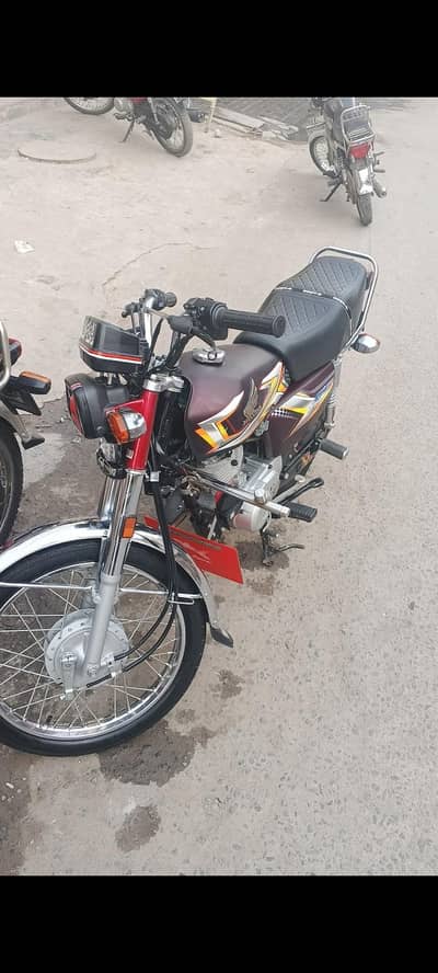 CG125 24/25 lush pash