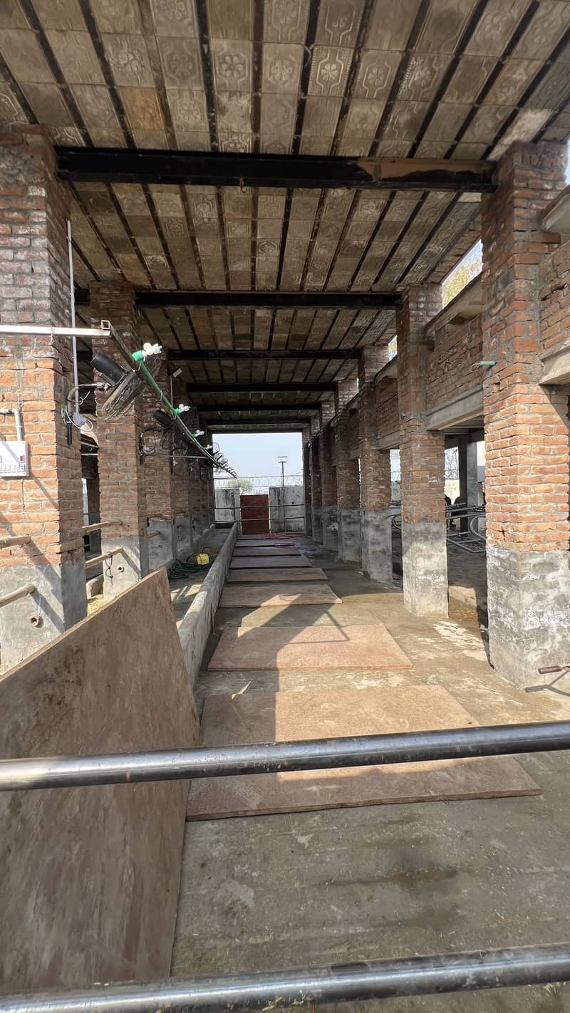 خالص دودھ فارم سے سیدھا آپ کے گھر 3