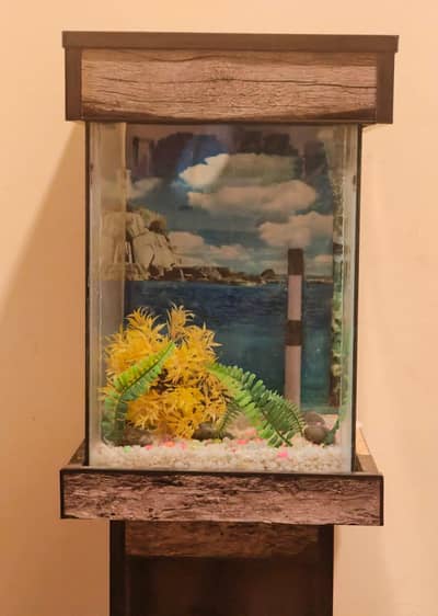 Aquarium like New