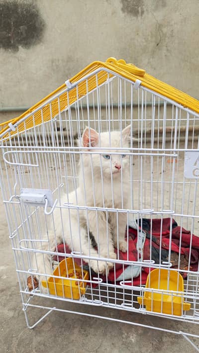 Persian control double coat