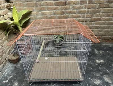 Birds cage for sale brand new