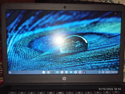 HP Chromebook  Best for online work and students excellent condition