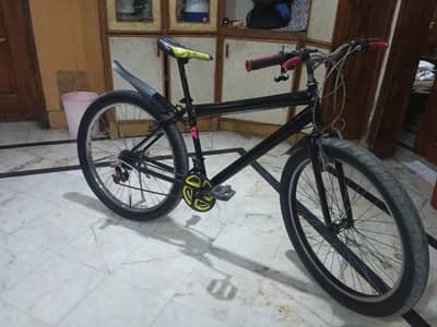 fat bike with full size