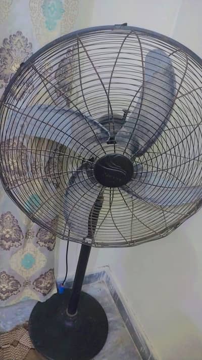 I am sale my fan