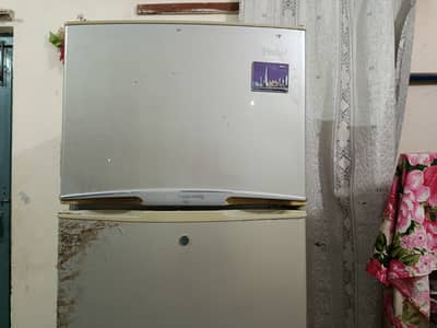 Freej Medium size, company Hair