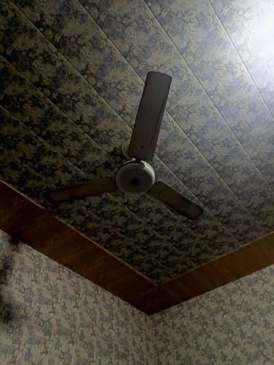 chat Wala pankha AC 220 Walt