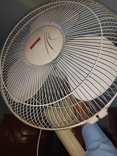 Royal Bracket Fan