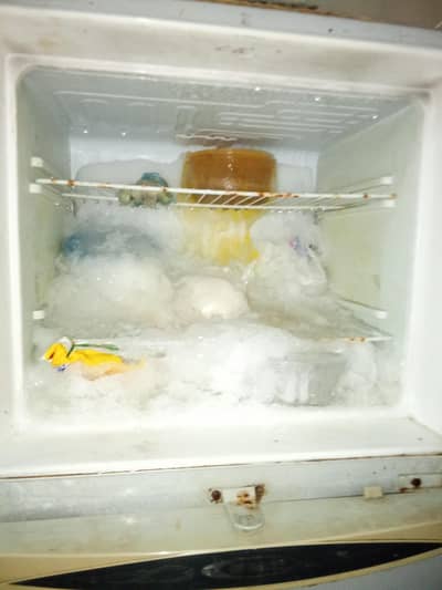 Full size waves Fridge good condition