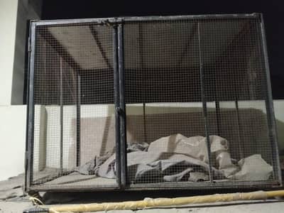 T are ka bna Huwa pinjra hai high w8 may