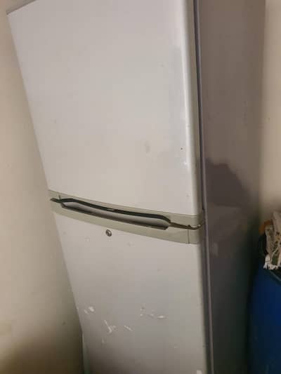 fridge