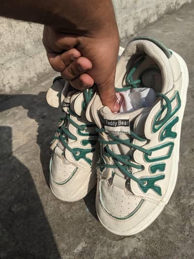 Sneakers Teddy Bear