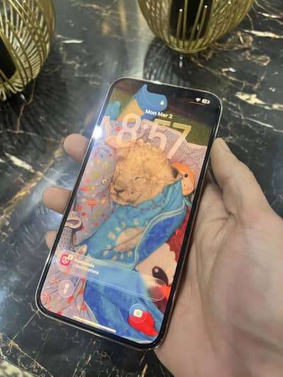 iPhone 13 Pro Max JV 256GB Golden | 85% BH | 4 Months SIM Time
