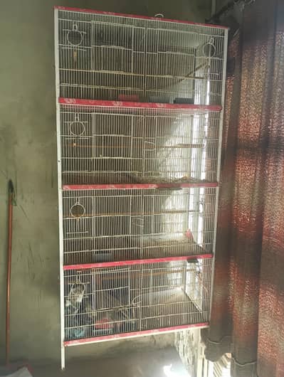 8 portions cage | Strong wire