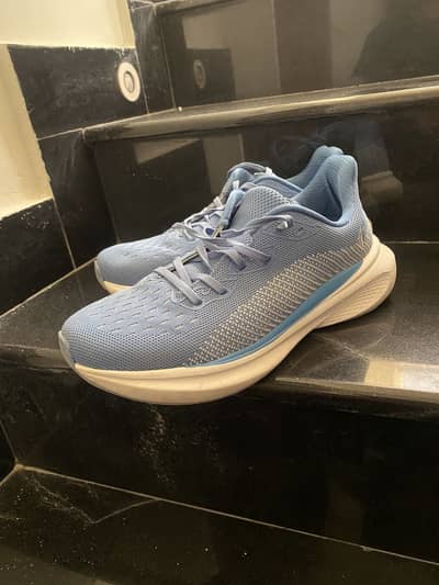 Hush puppies one Degree