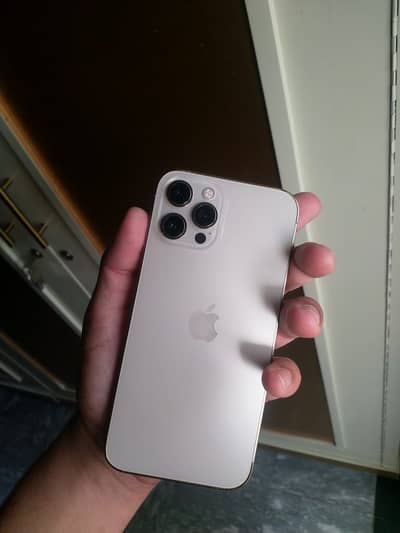 iPhone 12 Pro Max