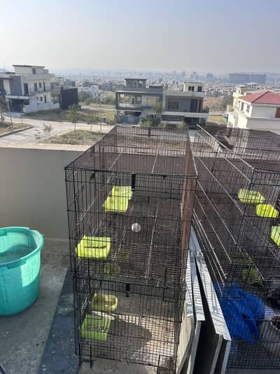 Parrot cage for sale 1.5/2 foot each cage 8cages