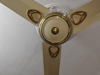 PAK FAN COPPER WINDING